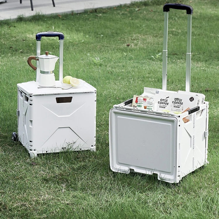 ImagendeWhatsApp2025-11-18alas10.57.46_9bf077b9